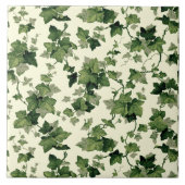 ijspatroon tegeltje (Voorkant)