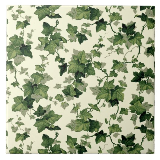  ijspatroon tegeltje (Voorkant)