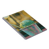 Ijsrecept Notitieboek (Rechterzijde)