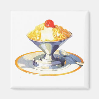 ijsretro dessert food magneet