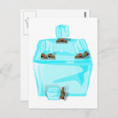 ijsschaatsen briefkaart (Voorkant / Achterkant)