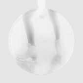 ijsschaatsen ornament (achterkant)