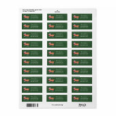 IJsschaatsen Teckel Groene Winter Retouradres Etiket (Full Sheet)