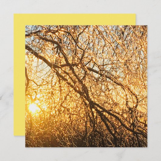 ijstakjes bij zonsondergang kaart (Voorkant / Achterkant)