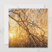 ijstakjes bij zonsondergang kaart (Voorkant)