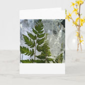 ijsvarens, kaart (Gele Bloem)