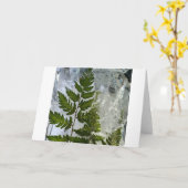 ijsvarens, kaart (Gele Bloem)