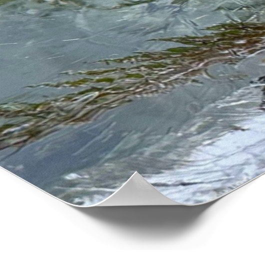 ijsvarens, poster (Hoek)