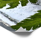 ijsvarens, poster (Hoek)