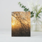 ijsvertakkingen bij zonsondergang briefkaart (Staand voorkant)