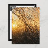 ijsvertakkingen bij zonsondergang briefkaart (Voorkant / Achterkant)