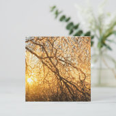 ijsvertakkingen bij zonsondergang kaart (Staand voorkant)