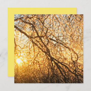 ijsvertakkingen bij zonsondergang kaart