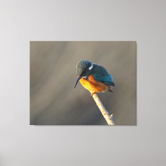 ijsvis canvas afdruk (Voorkant)