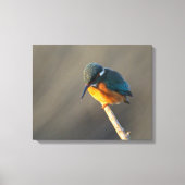 ijsvis canvas afdruk (Voorkant)