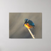 ijsvis canvas afdruk (Voorkant)