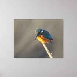 ijsvis canvas afdruk