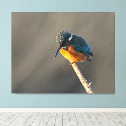 ijsvis canvas afdruk (Insitu (Houten vloer))