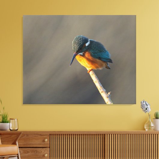 ijsvis canvas afdruk (Insitu (Woonkamer))