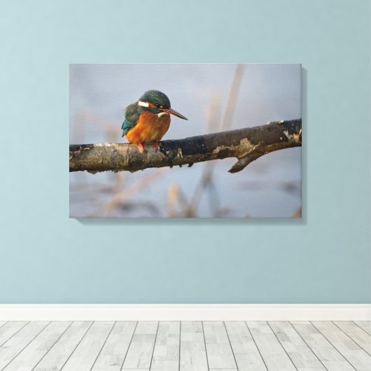 ijsvis canvas afdruk (Insitu (Houten vloer))