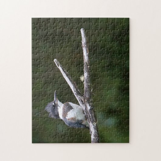 ijsvis legpuzzel (Verticaal)