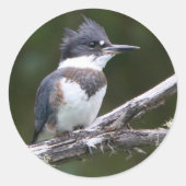 ijsvis ronde sticker (Voorkant)