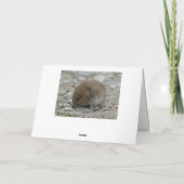 IJsvisser die op riet vist Kaart (Achterkant)