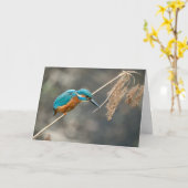 IJsvisser die op riet vist Kaart (Gele Bloem)