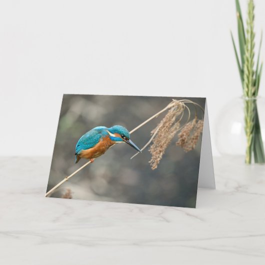 IJsvisser die op riet vist Kaart (Voorkant)