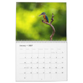 Ijsvogel 2027 kalender (Jan 2027)