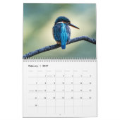 Ijsvogel 2027 kalender (Feb 2027)
