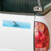 IJsvogel Bumpersticker (Op Truck)