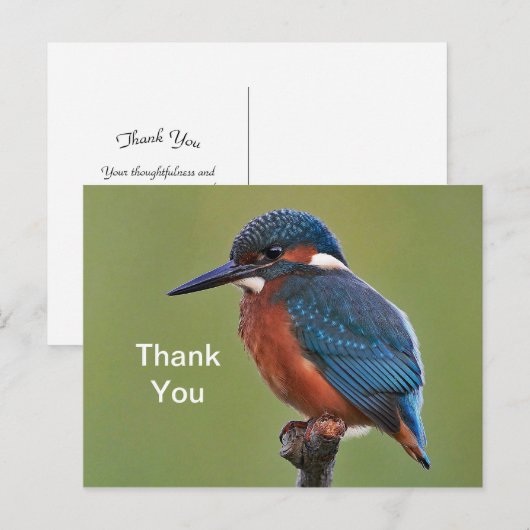 Ijsvogel Dank je kaart (Voorkant / Achterkant)