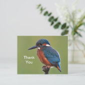 Ijsvogel Dank Je Postkaart (Staand voorkant)
