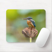 ijsvogel, dier, natuur muismat (Met muis)