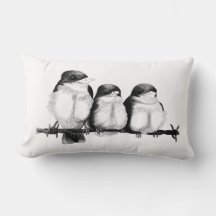ijsvogel kuikens