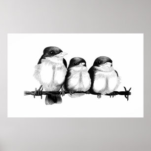 ijsvogel kuikens poster
