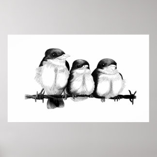 ijsvogel kuikens poster