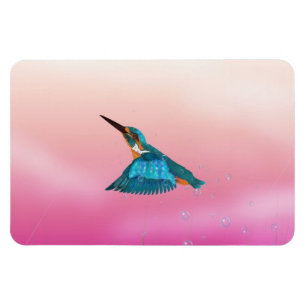 ijsvogel magneet