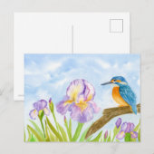 IJsvogel met paarse irissen Briefkaart (Voorkant / Achterkant)