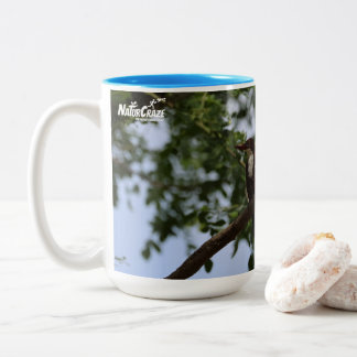 Ijsvogel met witte keel Blauw Mok - Vogel in Boom