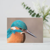 IJsvogel Natuur Fotokaart (Staand voorkant)