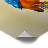 IJsvogel op een Tak Poster (Hoek)