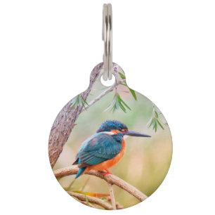 IJsvogel op tak gezeteld Huisdierpenning