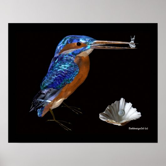 IJSVOGEL POSTER (Voorkant)
