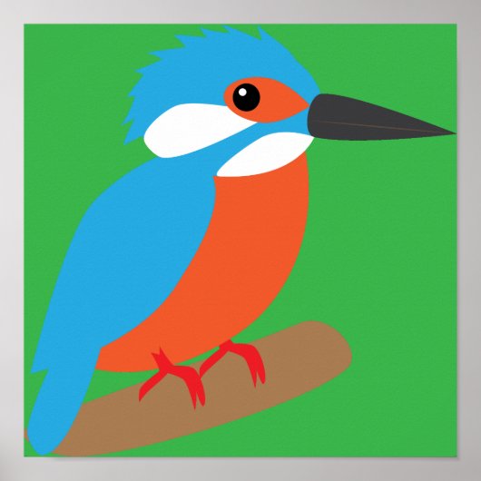 IJsvogel Poster (Voorkant)