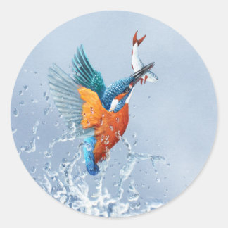 ijsvogel vliegt uit het water ronde sticker