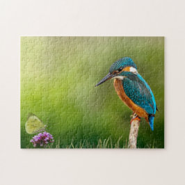 IJsvogel Vlinder Natuur Bloem Vogel Gezeten Legpuzzel