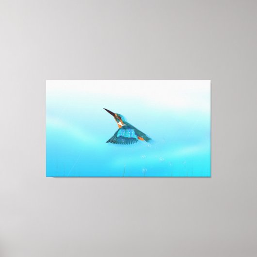 ijsvogel Vogel Canvas Afdruk (Voorkant)