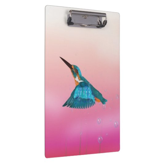 ijsvogel Vogel Klembord (Rechts)